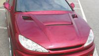RACE Motorhauben-Aufsatz Peugeot 206