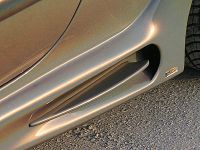 PREDATOR Seitenschweller Peugeot 206
