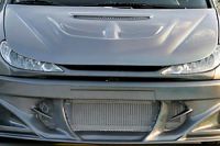 PREDATOR hood/bonnet Peugeot 206