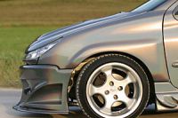 PREDATOR Kotflügel verbreitert Peugeot 206
