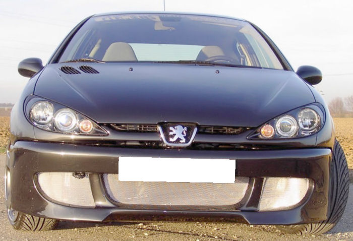 CUP Frontspoiler/Frontsch?rze Peugeot 206