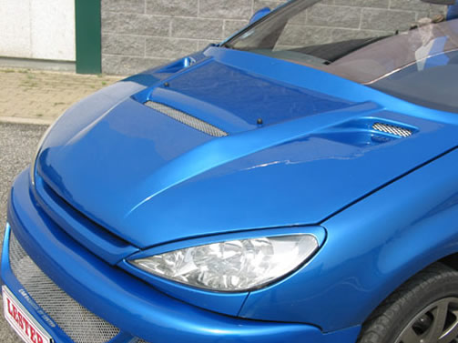 RACE Motorhauben-Aufsatz Peugeot 206