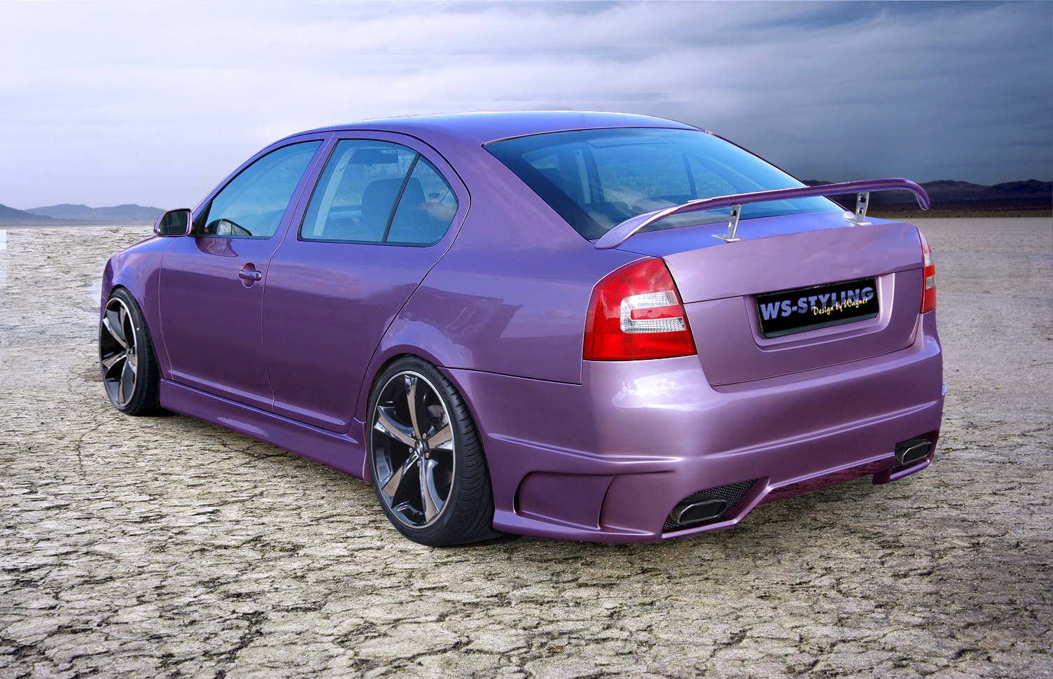 EVOLUTION Hecksch?rze/Hecksto?stange Skoda Octavia 2 1Z