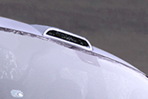 WS Dachhutze Peugeot 206