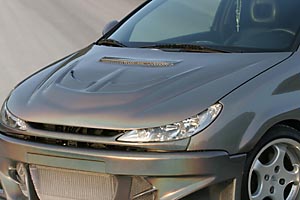 PREDATOR Motorhaube Peugeot 206