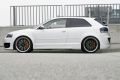 ERS Seitenschweller Audi A3 8P